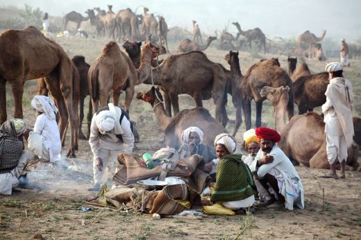 pushkar